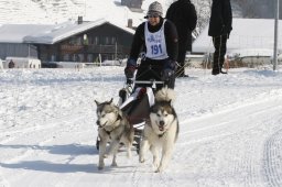 Lenk 2012 SM